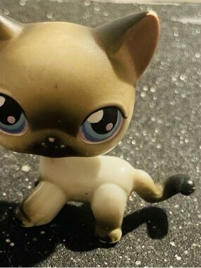 Littlest Pet Shop LPS Cat Figure Siamese Shorthair..RARE FIND